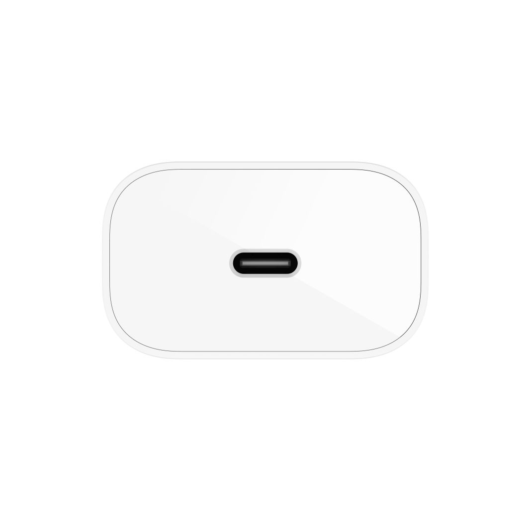 Fast Charger (25W) & Cable (Lightning) | Belkin