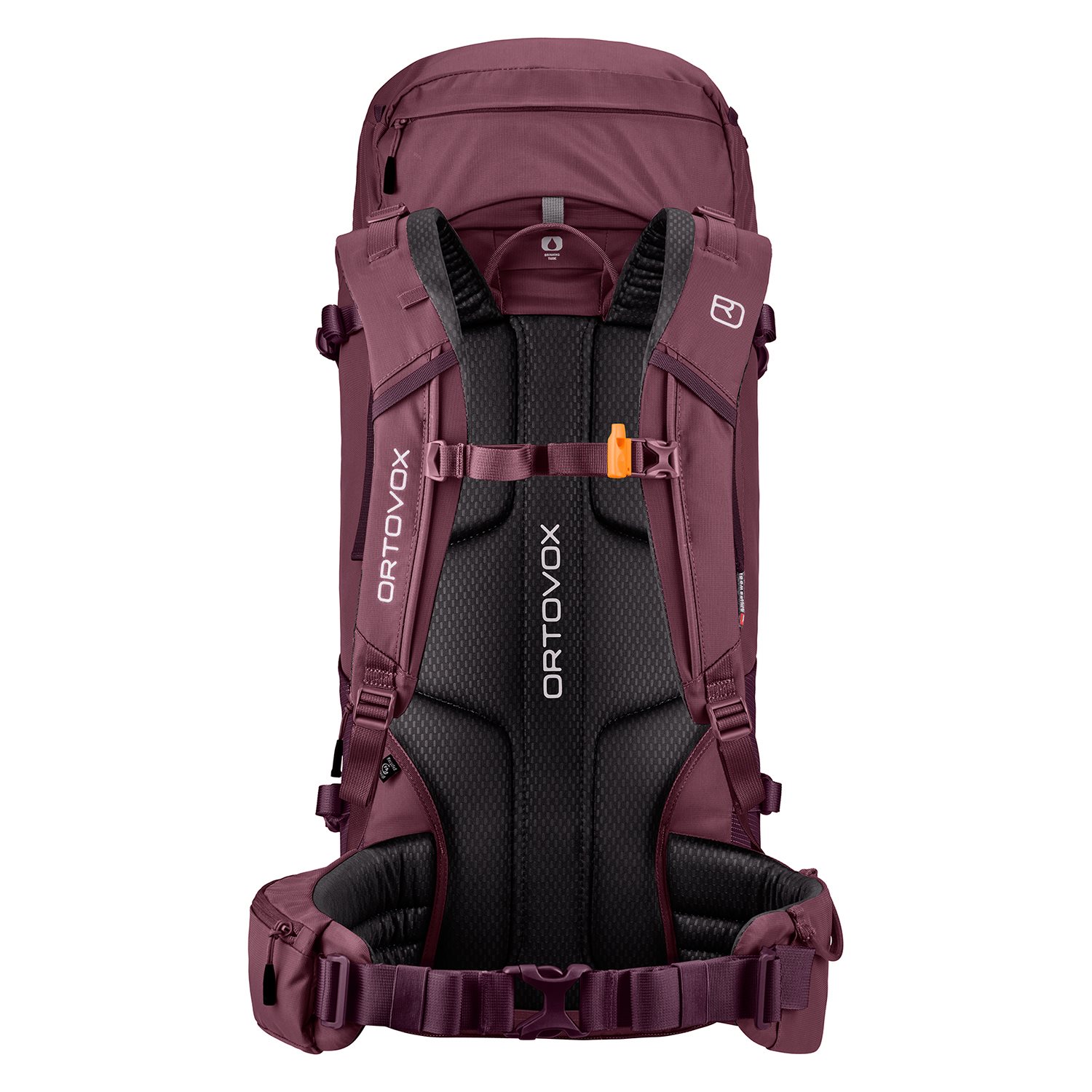 Ortovox Peak 35 Backpack winetasting