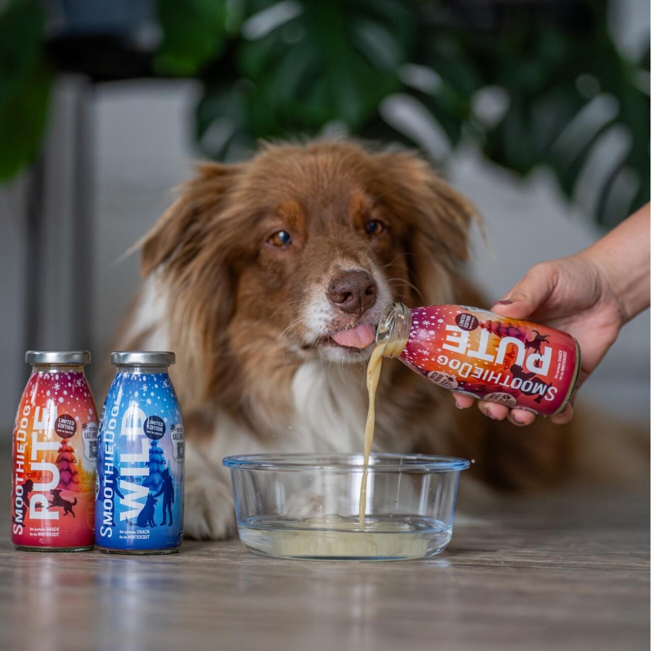 SmoothieDog Mix Paket 6x 250ml + Winter Wild 3x 250 ml + Winter Pute 3x 250 ml