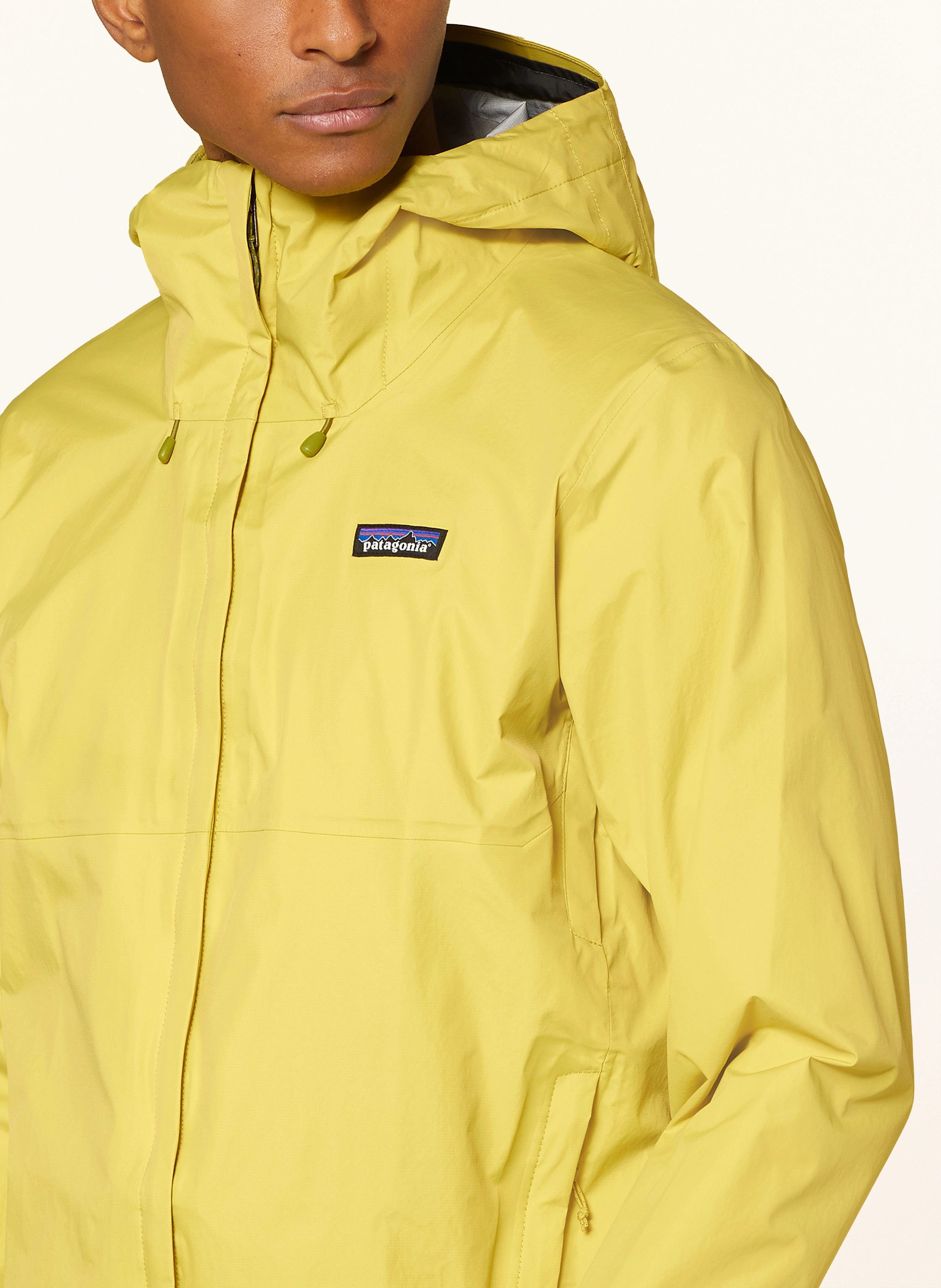 patagonia Funktionsjacke TORRENTSHELL