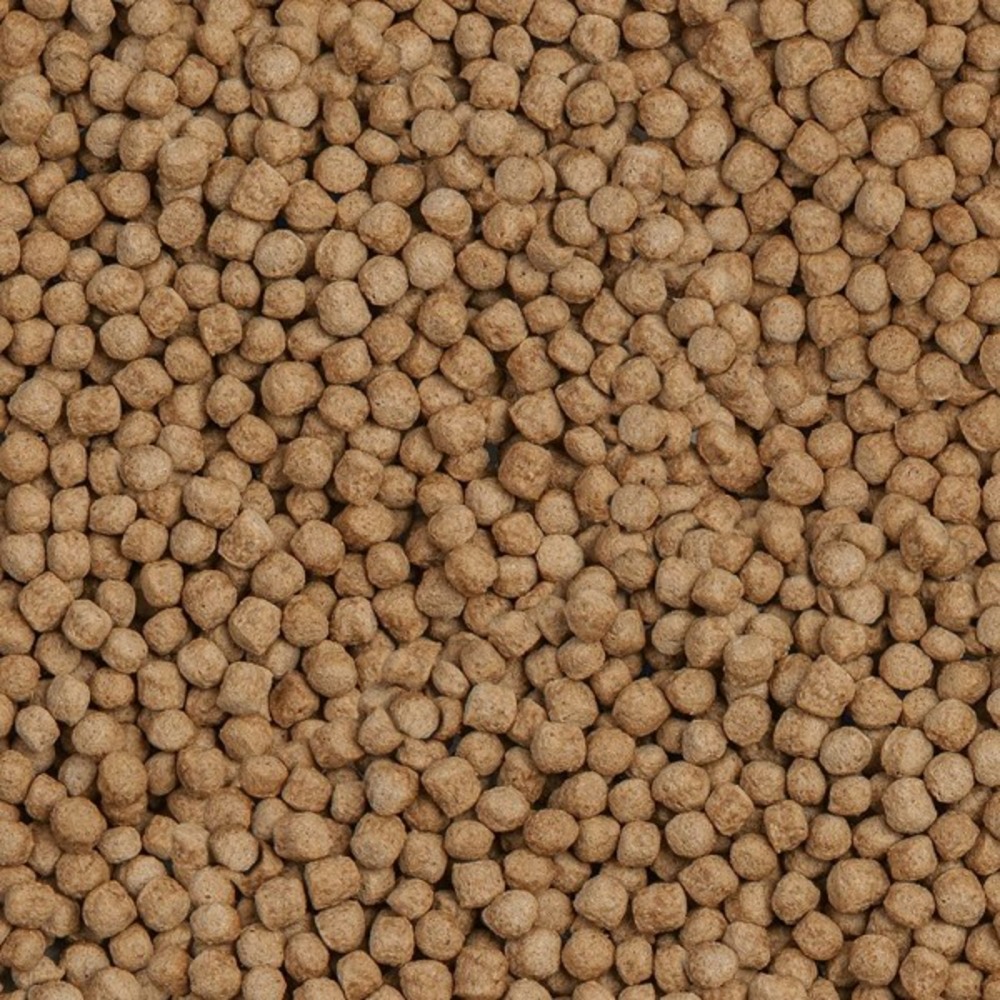 Sera koi royal medium 21l (5.65kg)