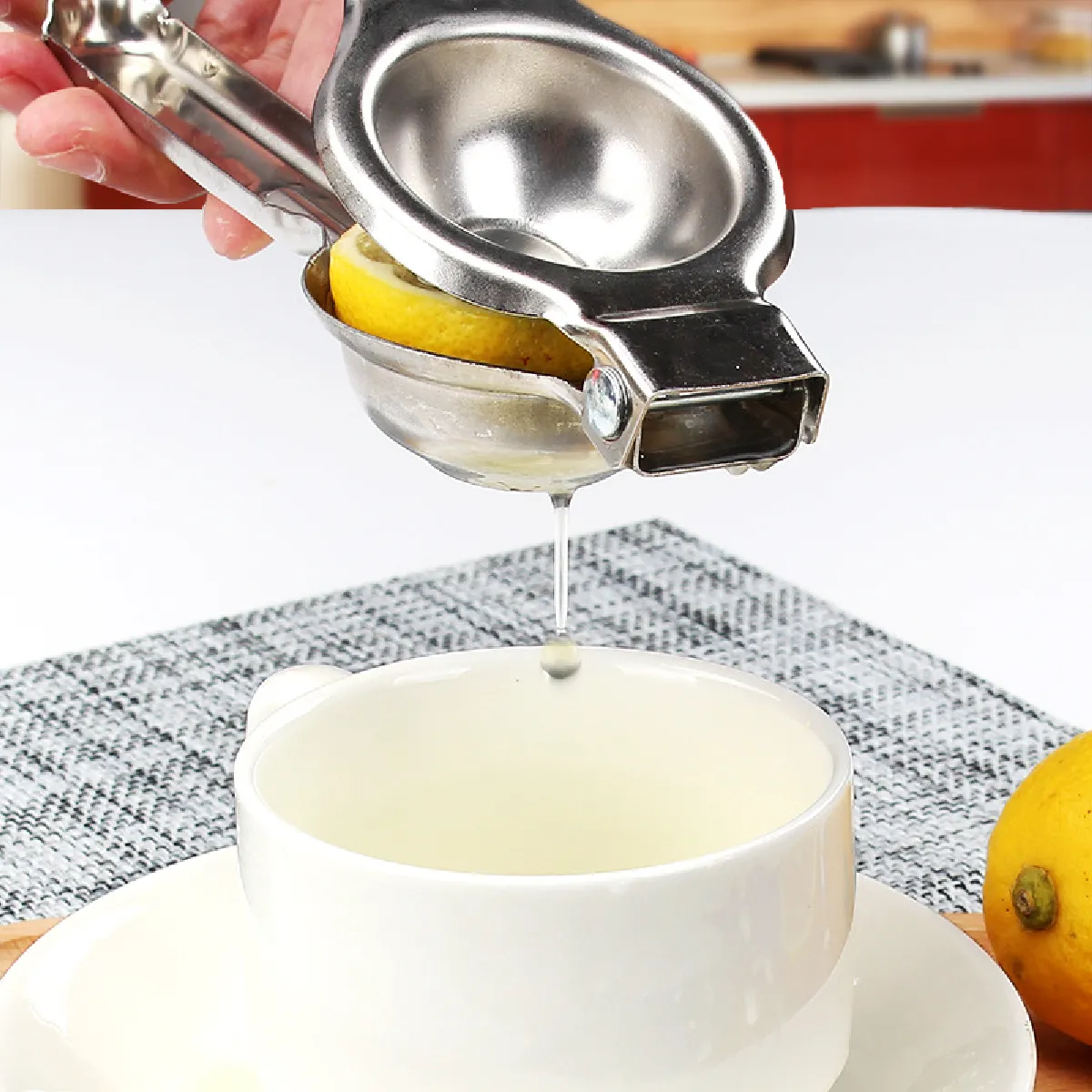 Universal Mini Presse-Fruits Inoxydable - Argent