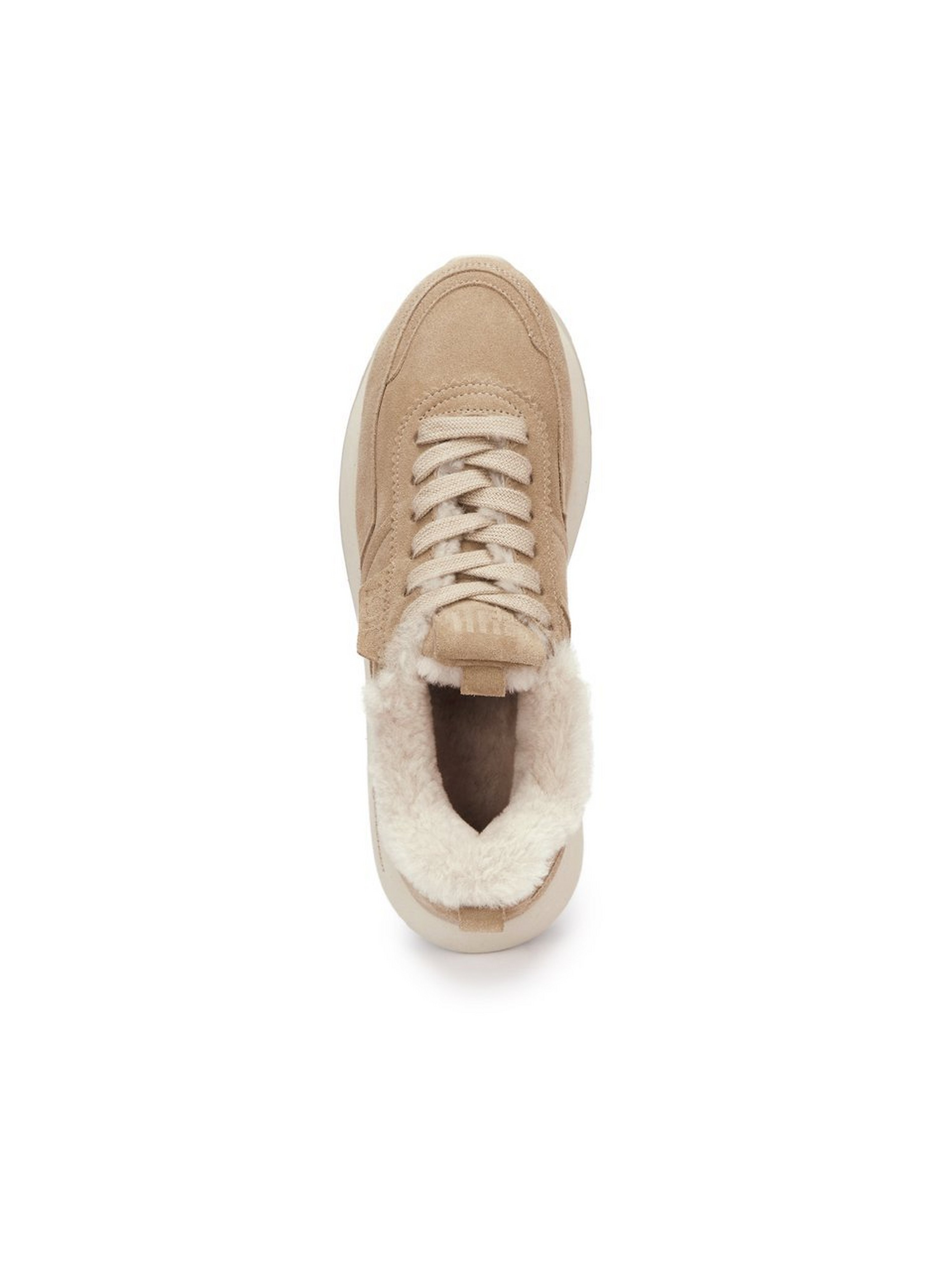 Sneaker Tonic