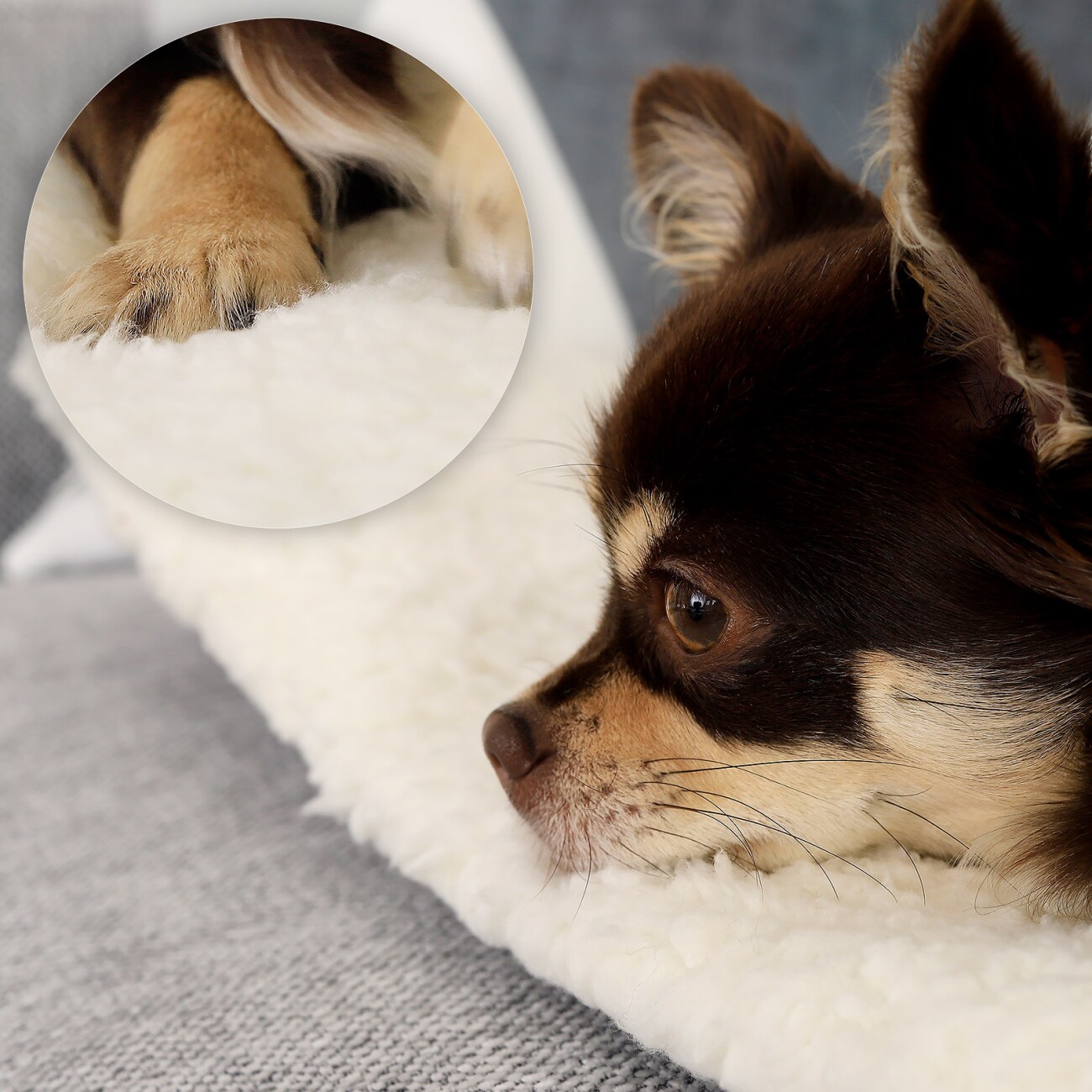 Lionto Wärmematte CozyHeat