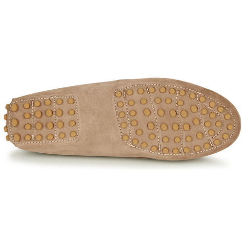 Casual Attitude - GATO - Taupe