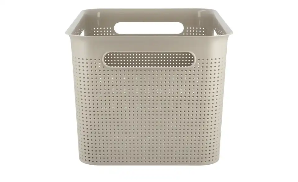 Rotho Aufbewahrungsbox 36 cm