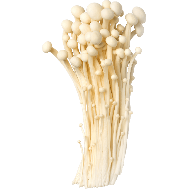 Enoki China 100g