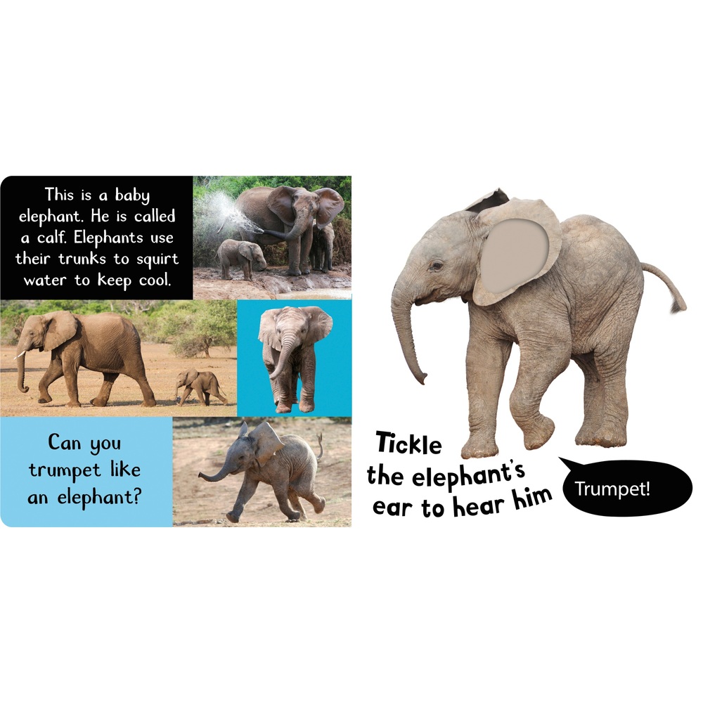Geräusche von Tierbabys: Mein erstes Fühl- und Klangbuch