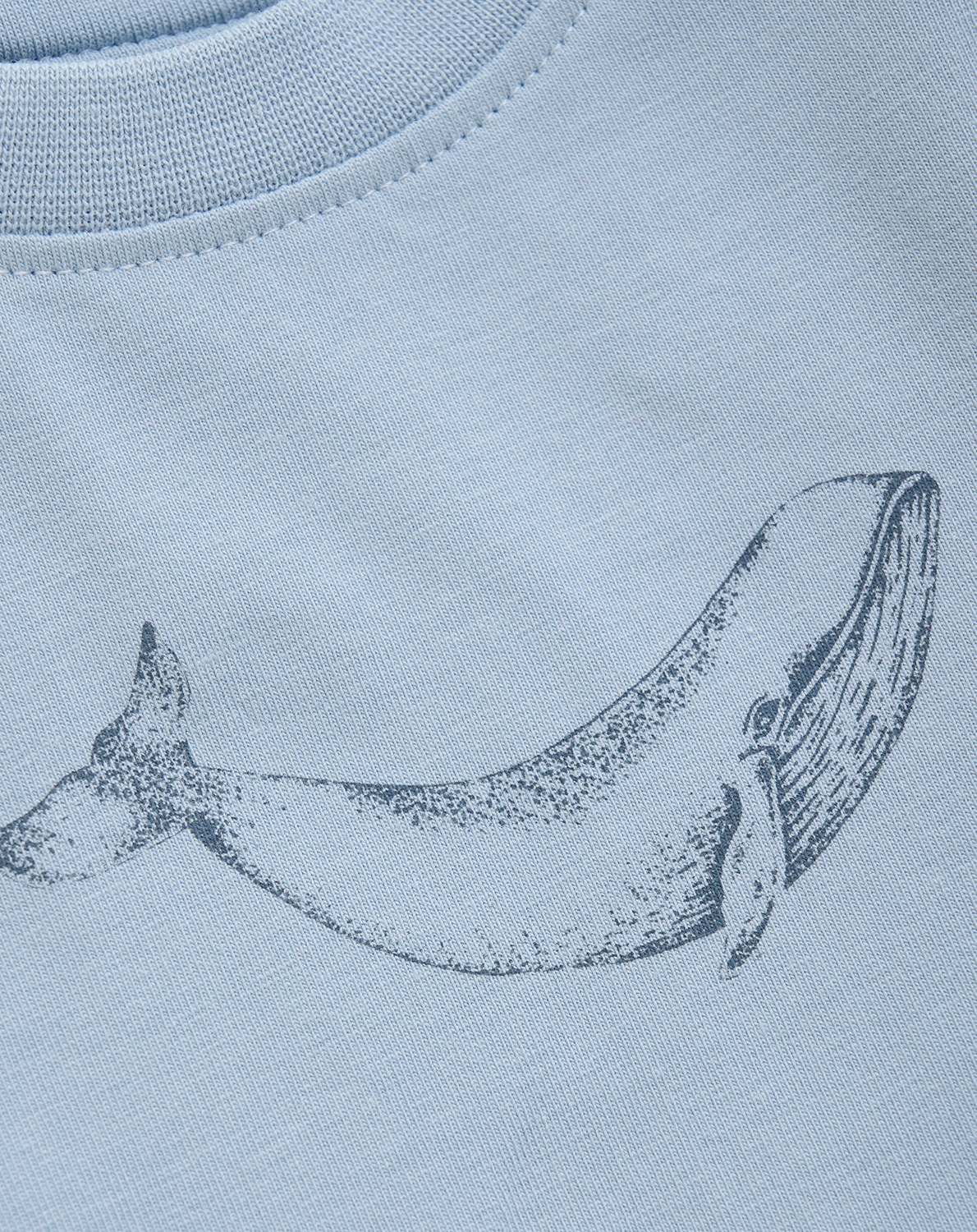 T-Shirt WHALE in dusty blue