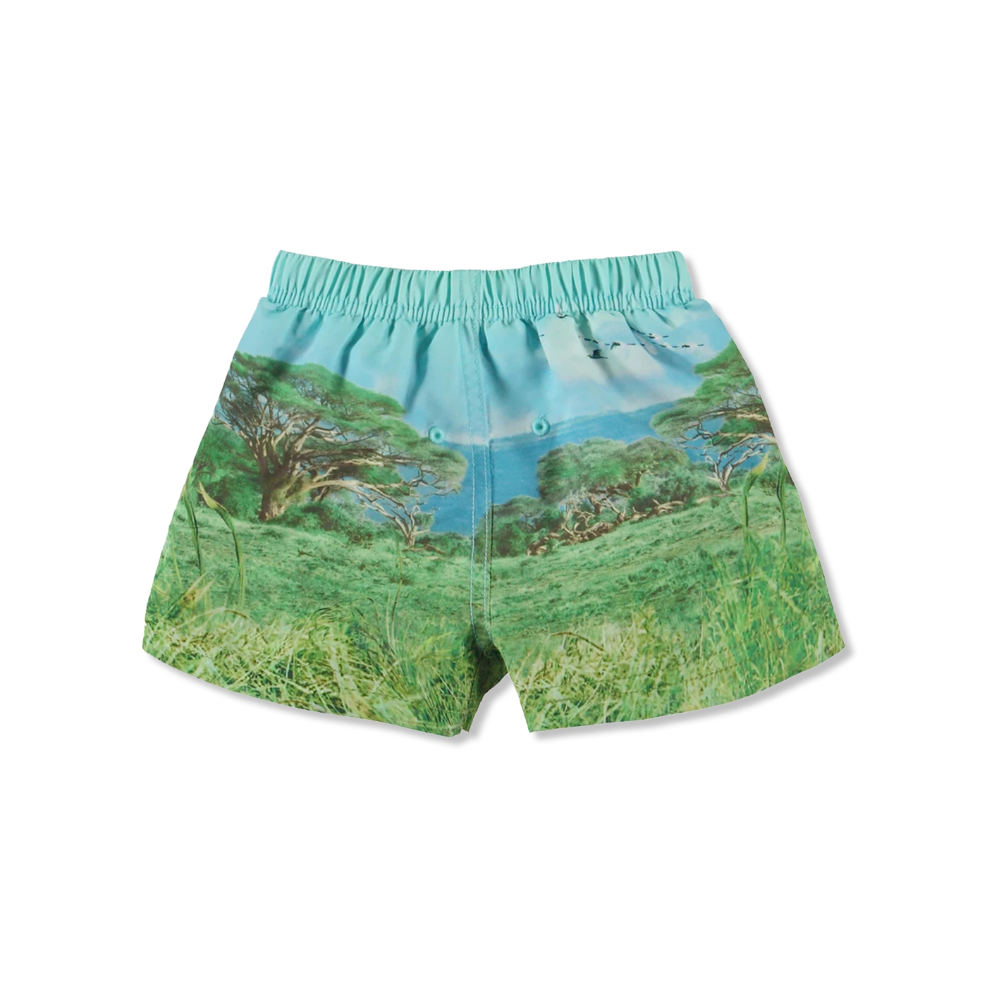 Newton badeshorts