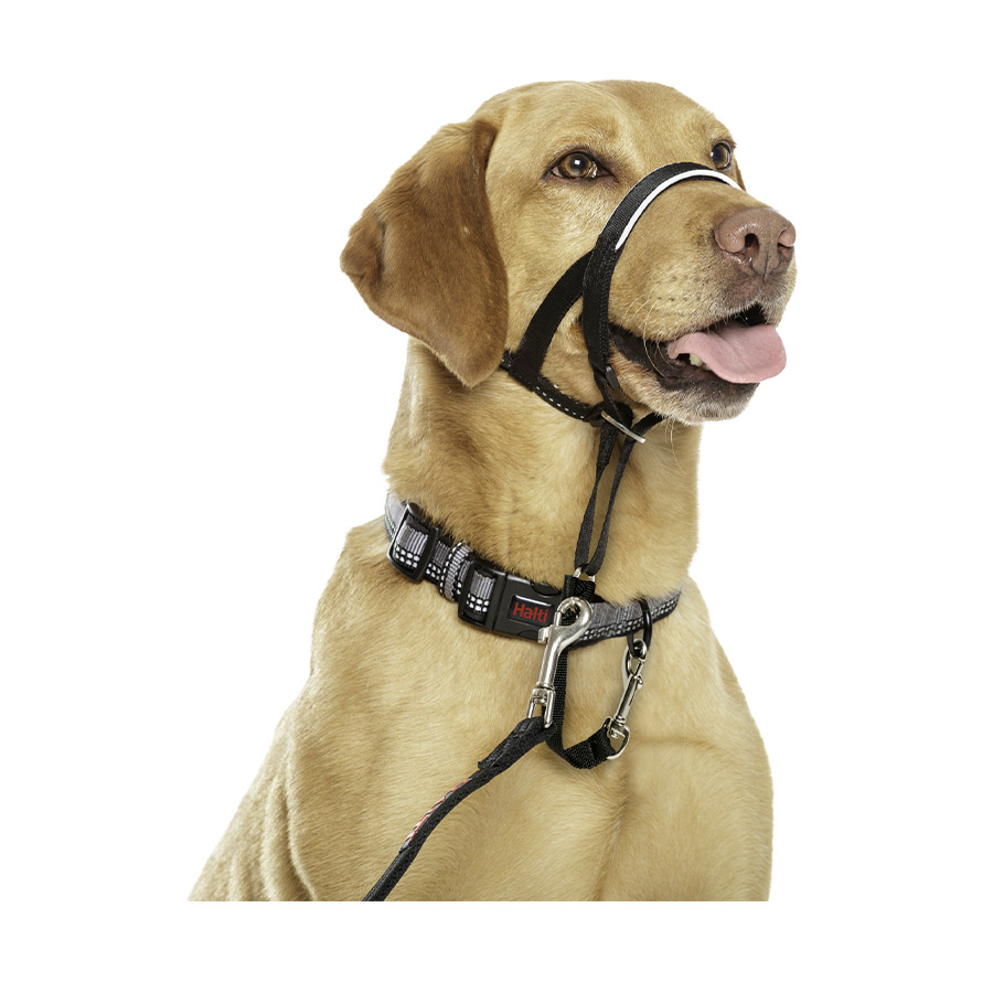 Coleira Halti Anti-Puxão para Cães