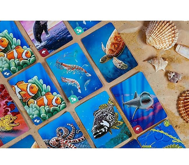 ECOSYSTEME OCEAN
