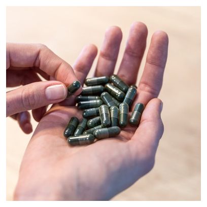 Spiruline Tonic Bio Meltonic - 60 gélules