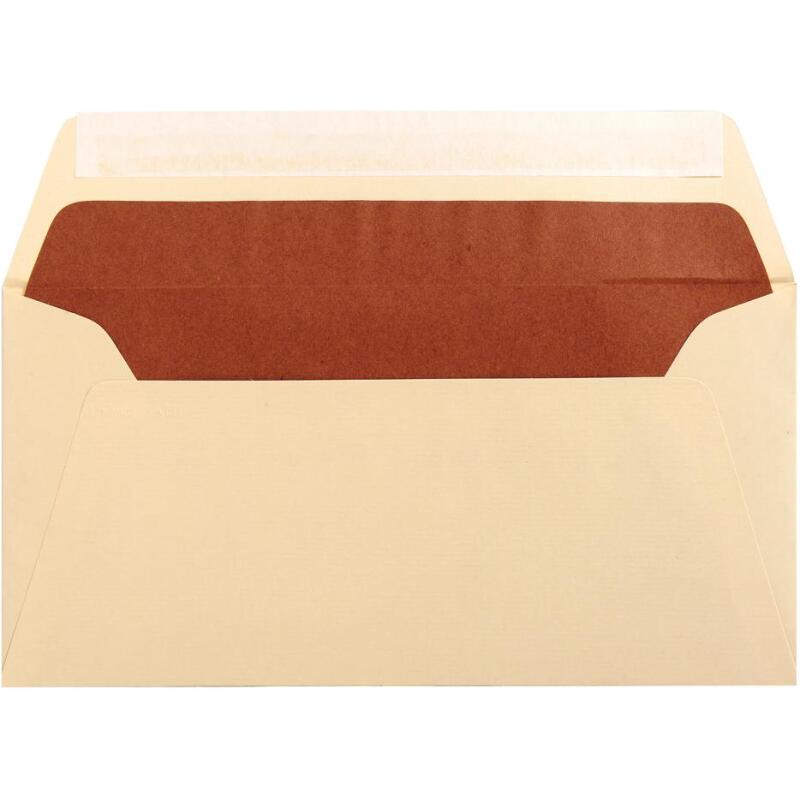 25 enveloppes DL (110x220mm)Vergé doublées adhésives