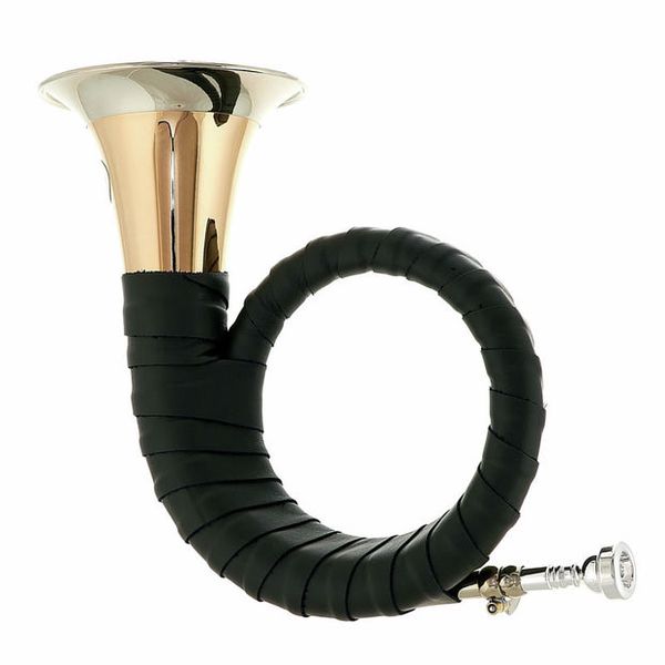 Dotzauer Meister Bb Horn 18825 Set