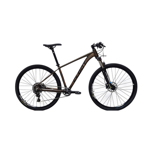 Bicicleta MTB 29