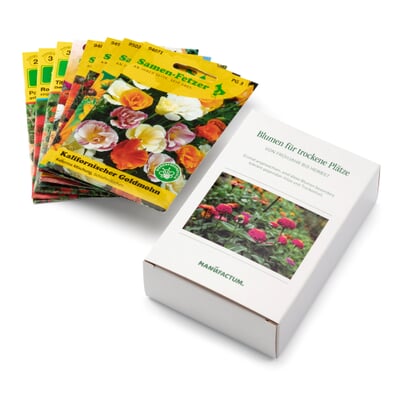 Blumensamen für trockene heiße Plätze