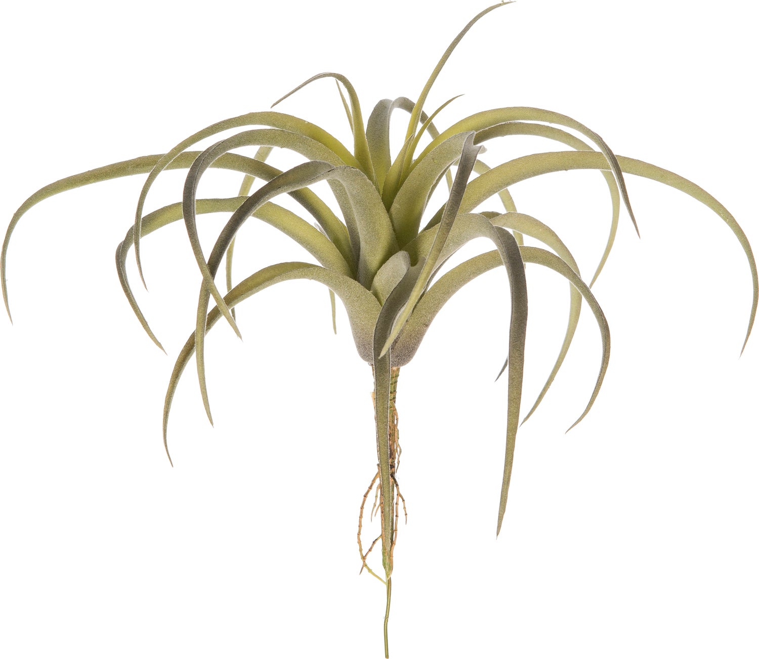 Intratuin kunstplant Tillandsia H 24 cm