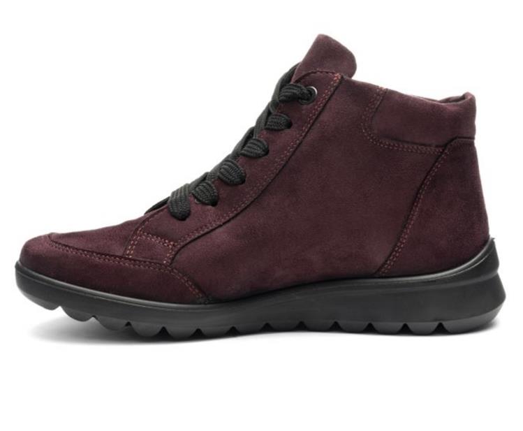 Ara 12-40416 Toronto brunello