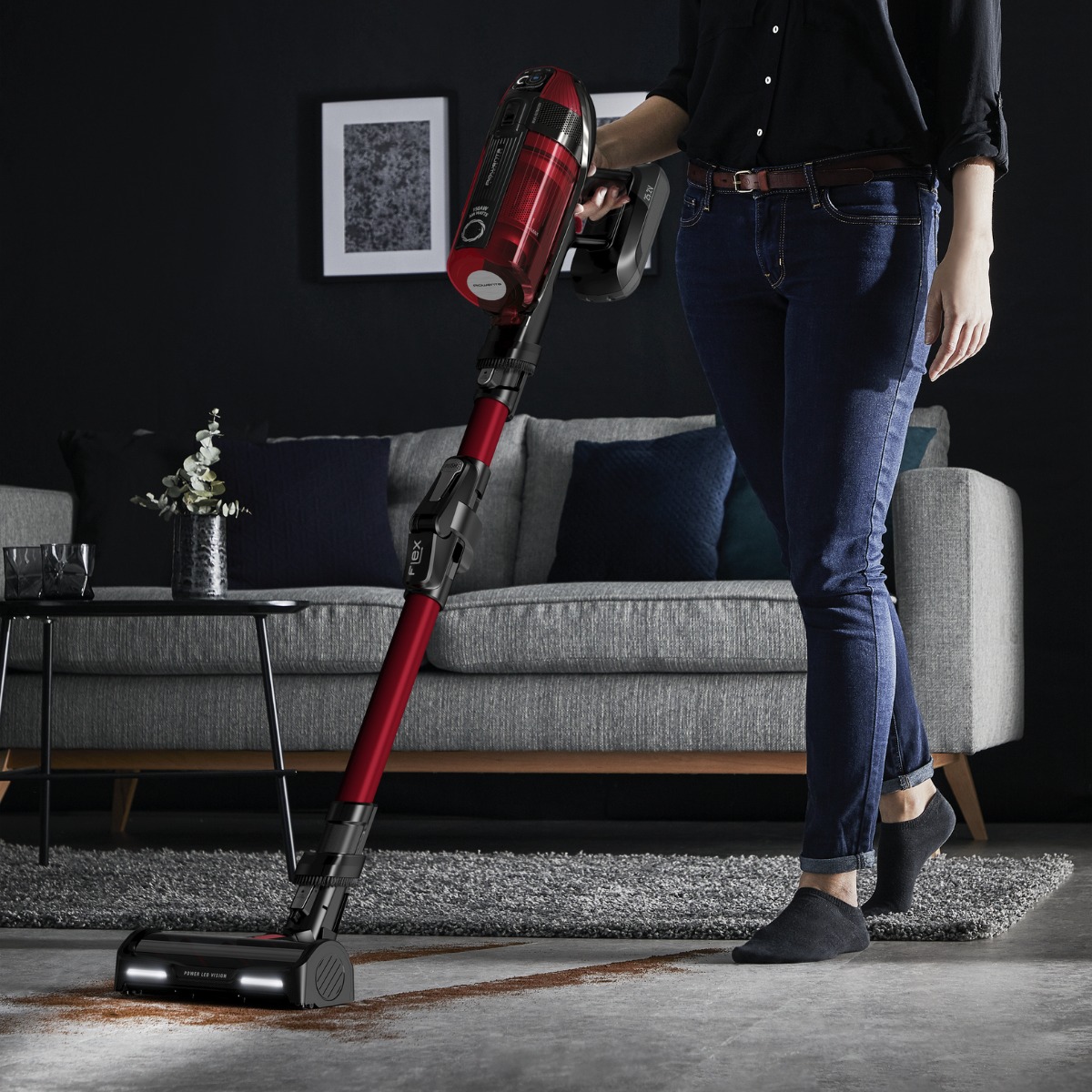 Rowenta X-Force Flex 12.60 Steelstofzuiger Animal