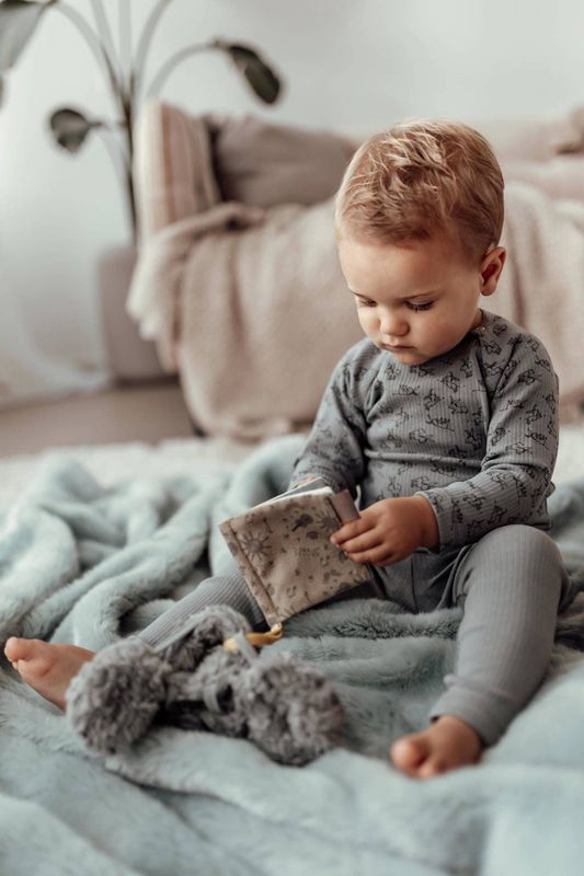 Snoozebaby buggy boekje - tellen