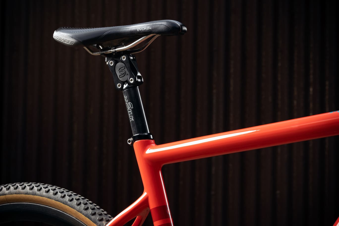 Cane Creek ee Silk+ Post