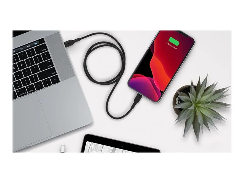 Belkin BoostCharge - Lightning-kabel - 24 pin USB-C han til Lightning han - 1 m - sort - USB Power Delivery (18 W)