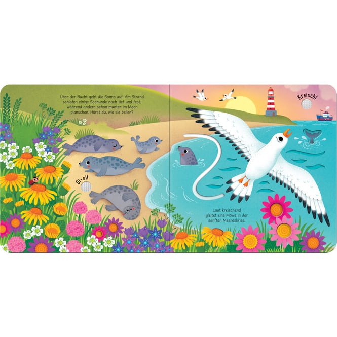 Klänge der Natur - Was hörst du am Meer?