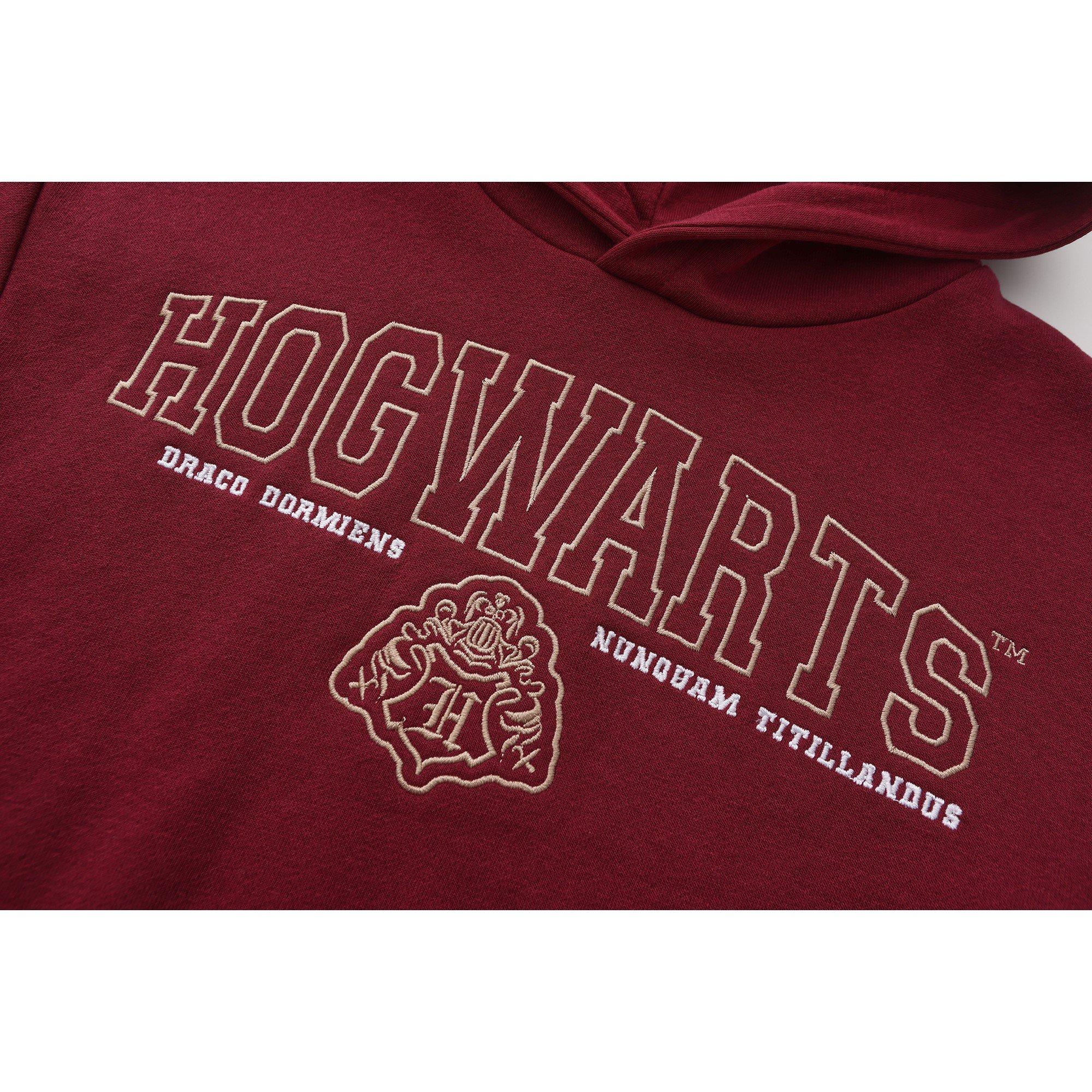 Character Fleece Lined Hoodie for Boys