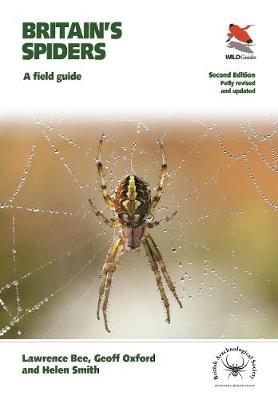 Britain's Spiders: A Field Guide - Fully Revised and Updated Second Edition - WILDGuides of Britain & Europe (Paperback)