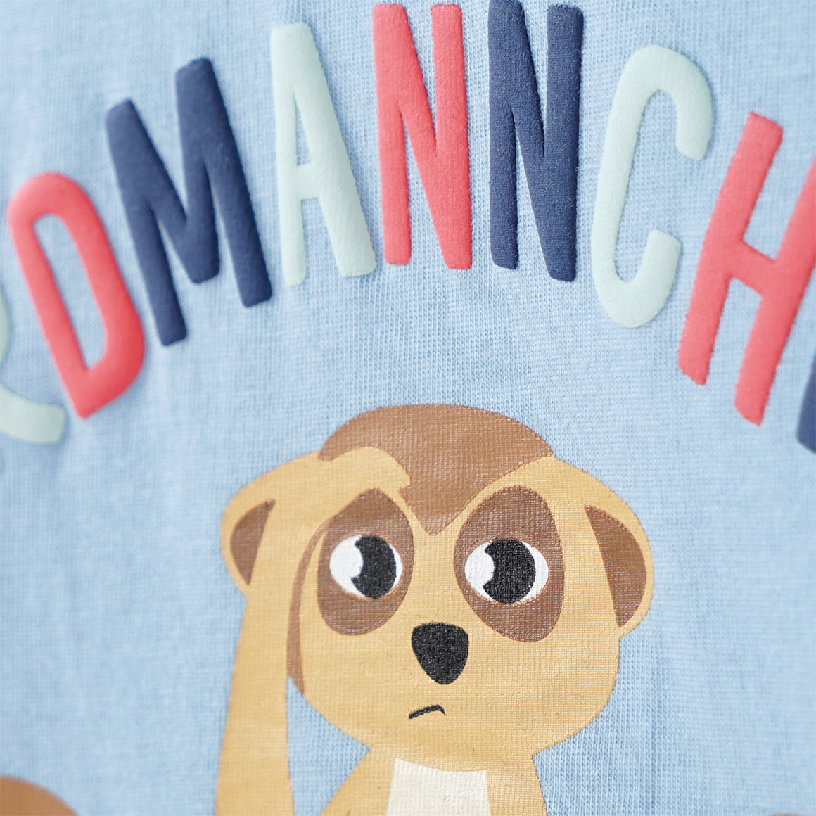 Topomini Baby T-Shirt mit Erdmännchen-Motiv hellblau