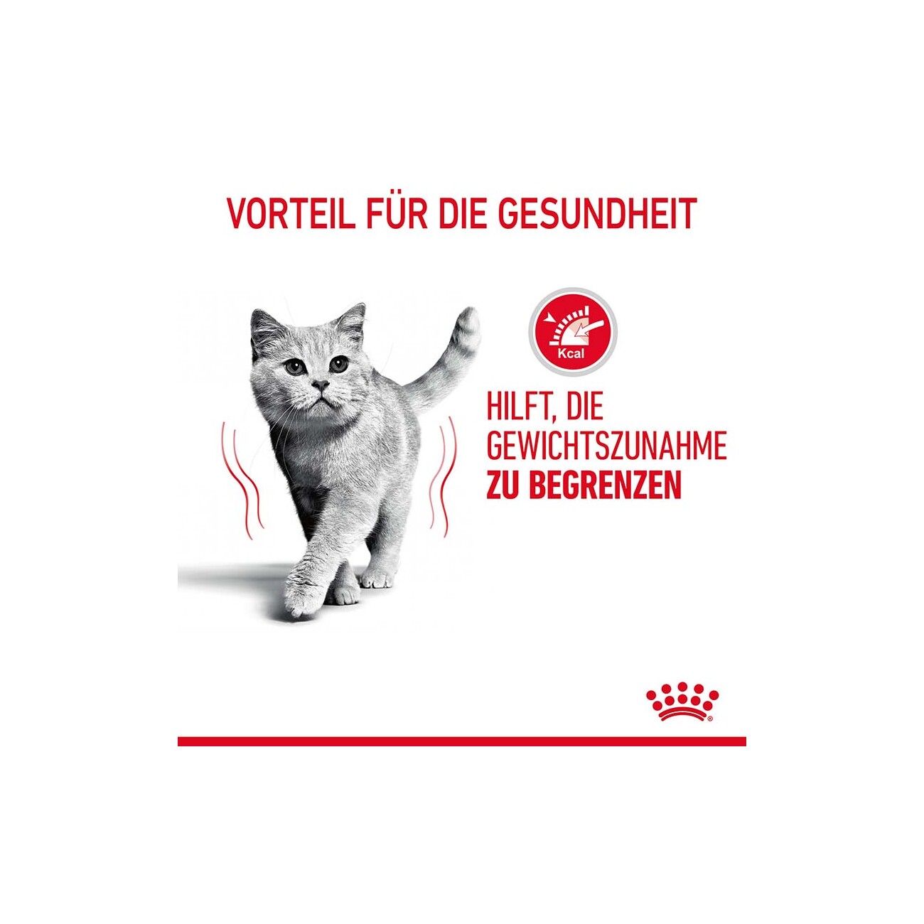 ROYAL CANIN Light Weight Care 400 g