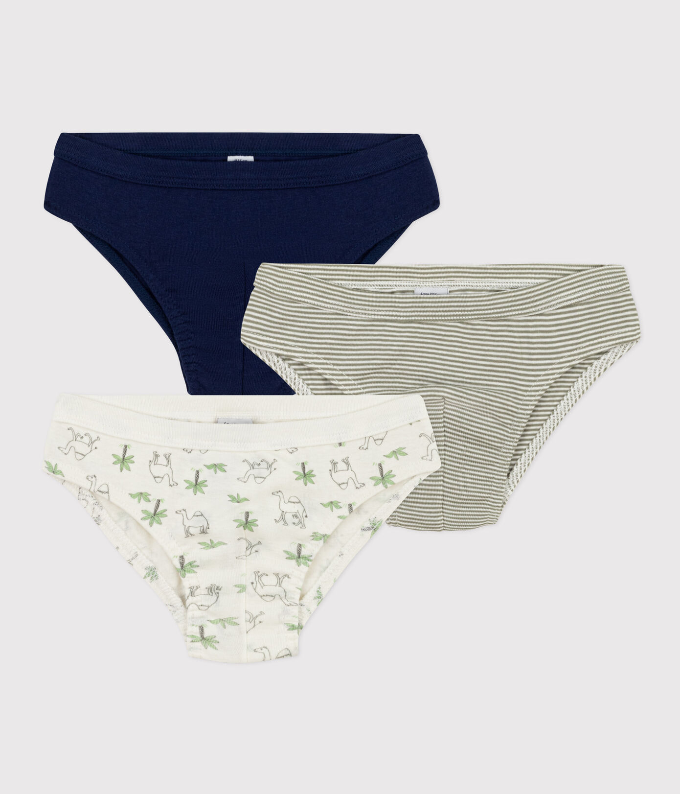 Lot de 3 slips dromadaires en coton petit garçon