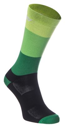 Paire de Chaussettes Massi Noir Vert