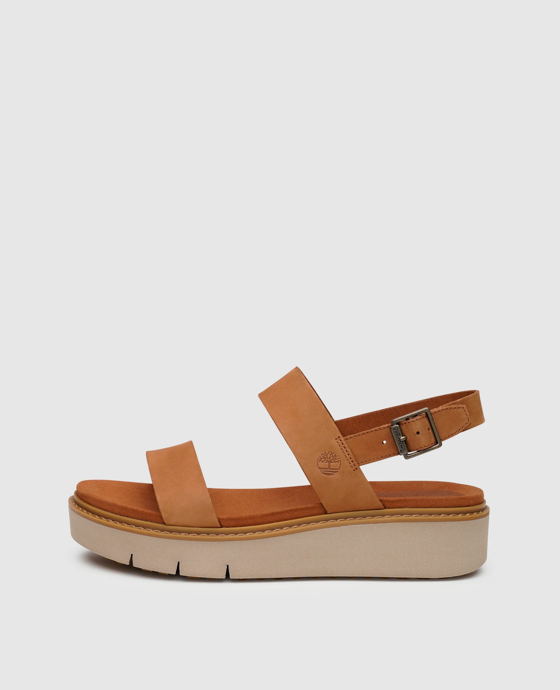 Safari Dawn