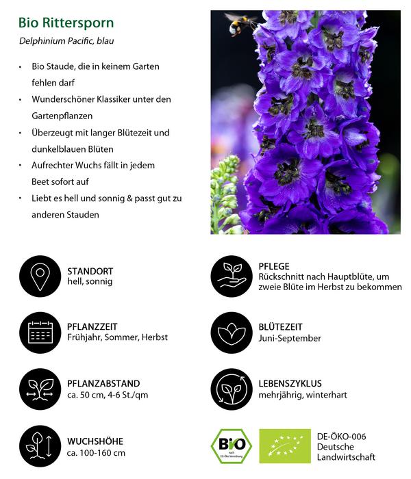 Bio Rittersporn, dunkelblau