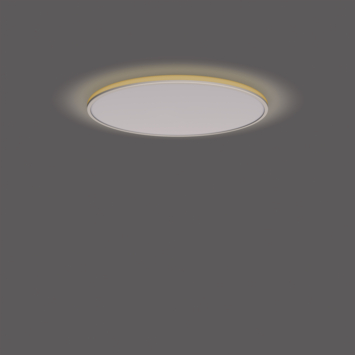 Philips plafonnière Ozziet wit 1x36W