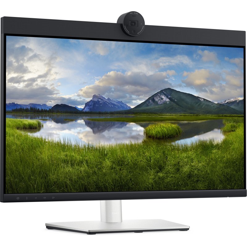DELL P2424HEB 60,5 cm (23.8