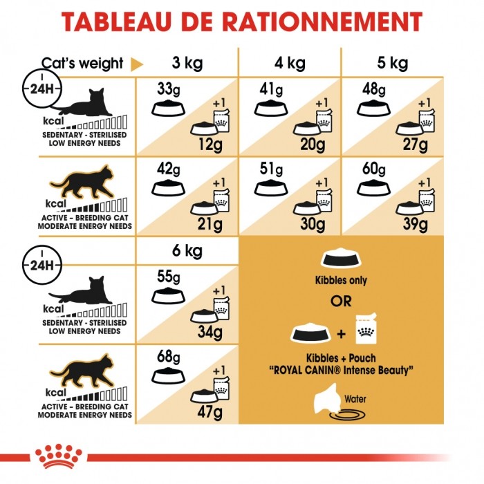 Royal Canin Siamois Adult