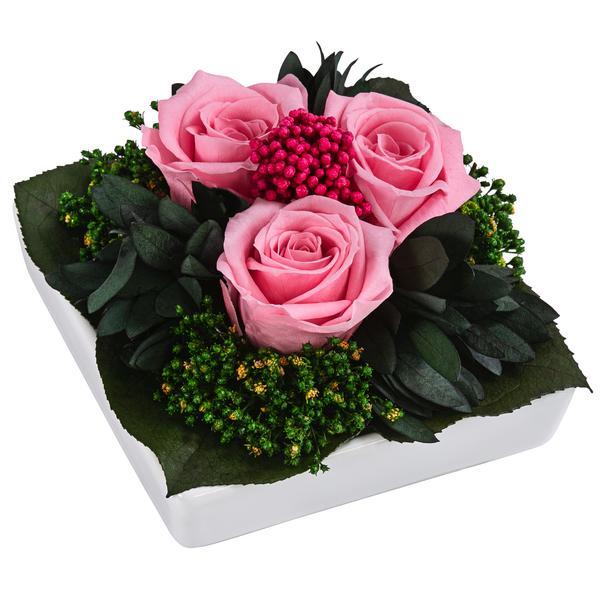 Dehner Keramik-Schale mit Longlife-Rose Zina,