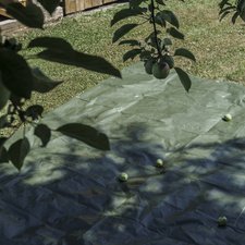 Bâche toile avec oeillets, 3 x 4 m, 150 g, vert