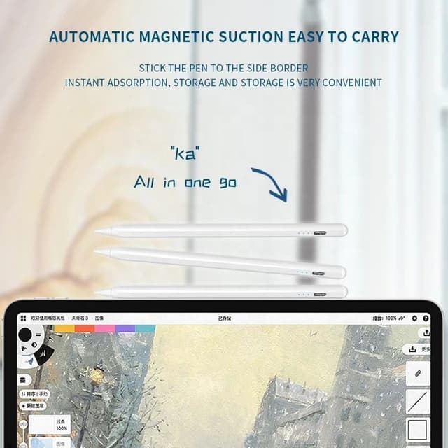 Stylus pen til iPad (2018 og nyere) USB-C Sort