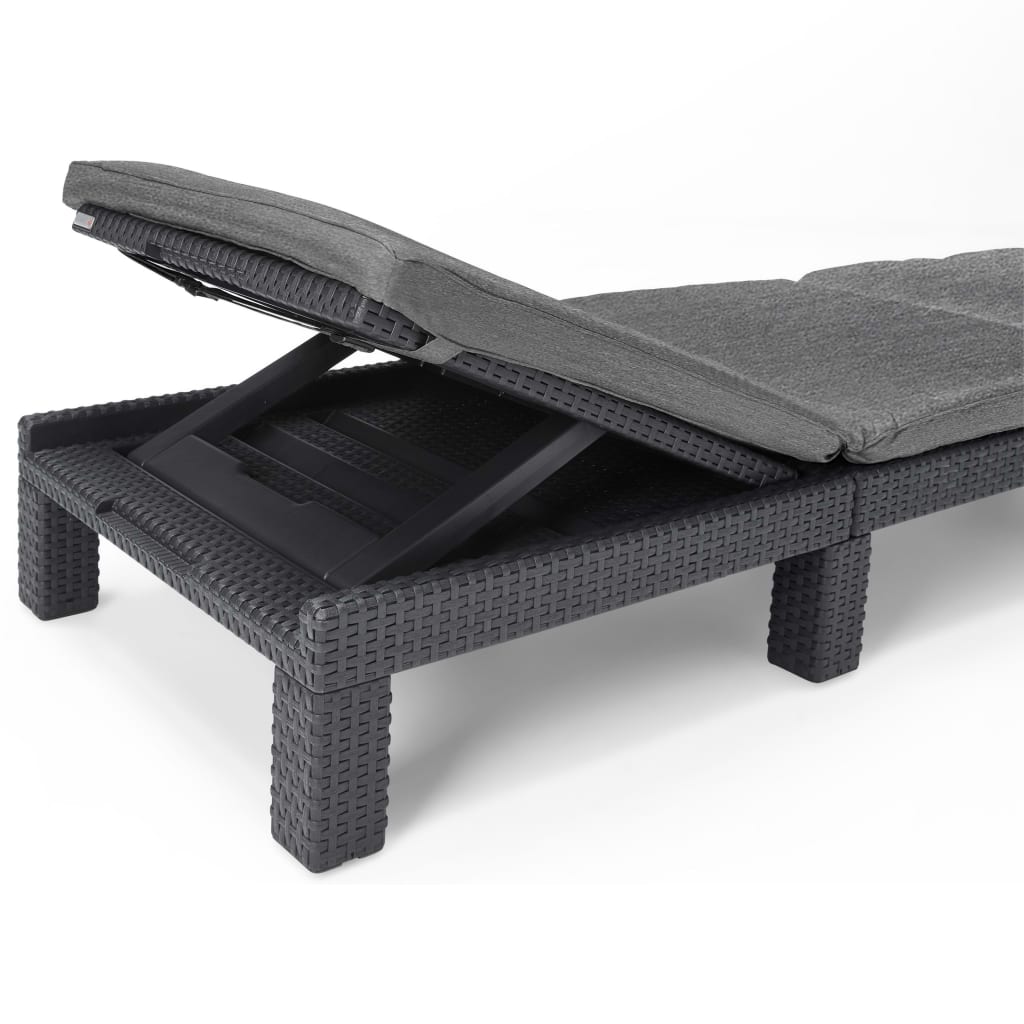 Allibert Ligbed Daytona grafiet 213720