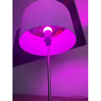 Lutec Connect slimme ledlamp Led Bulb wit en gekleurd licht E27 9W