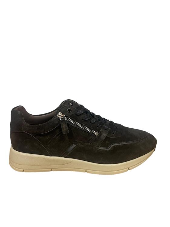 Greve 3284-07 3337 brown