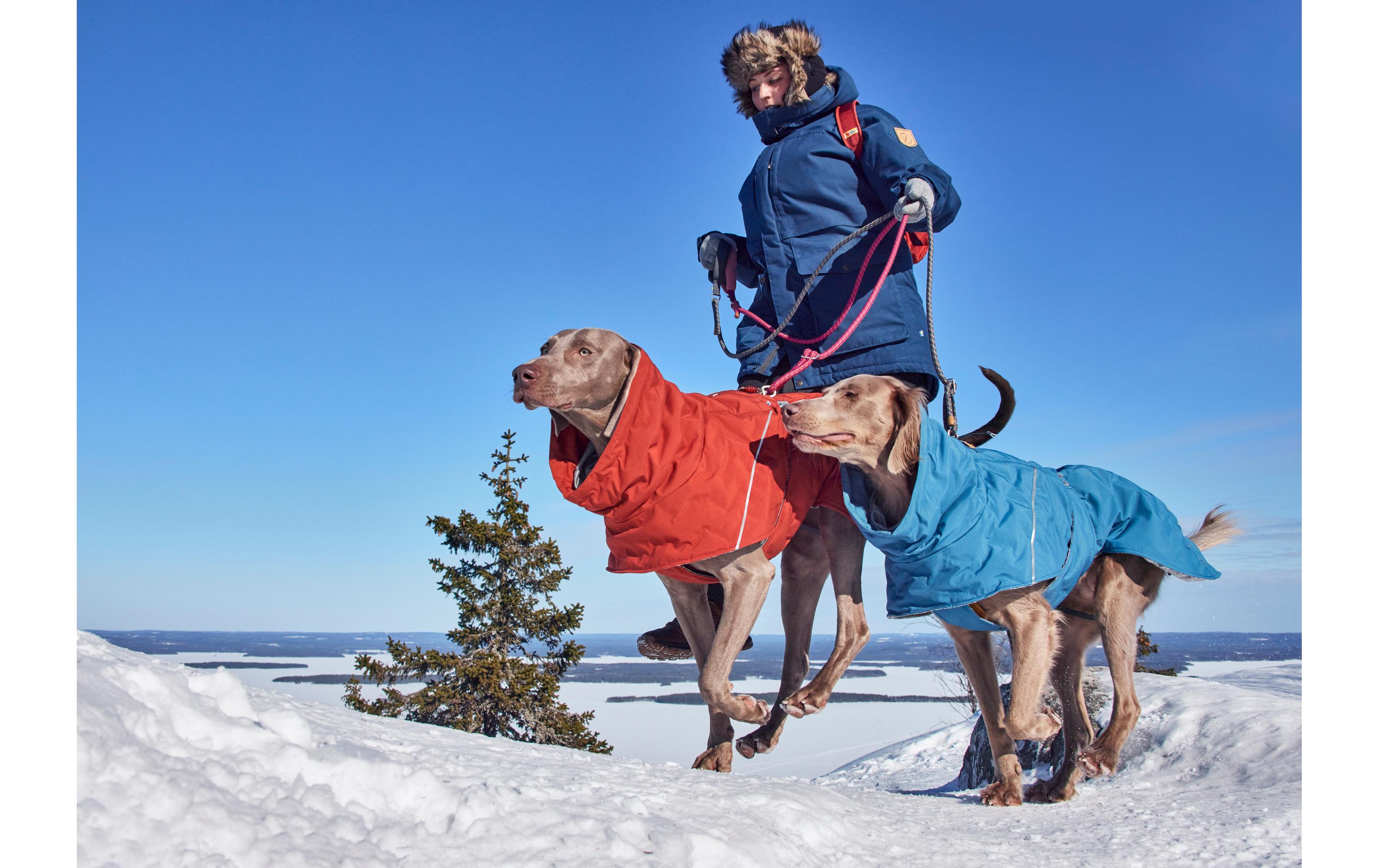 Extreme Warmer V3 Eco Blau, 60 cm<br>Winterjacke für Hunde