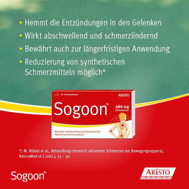 Sogoon Teufelskralle Filmtabletten , 20 St