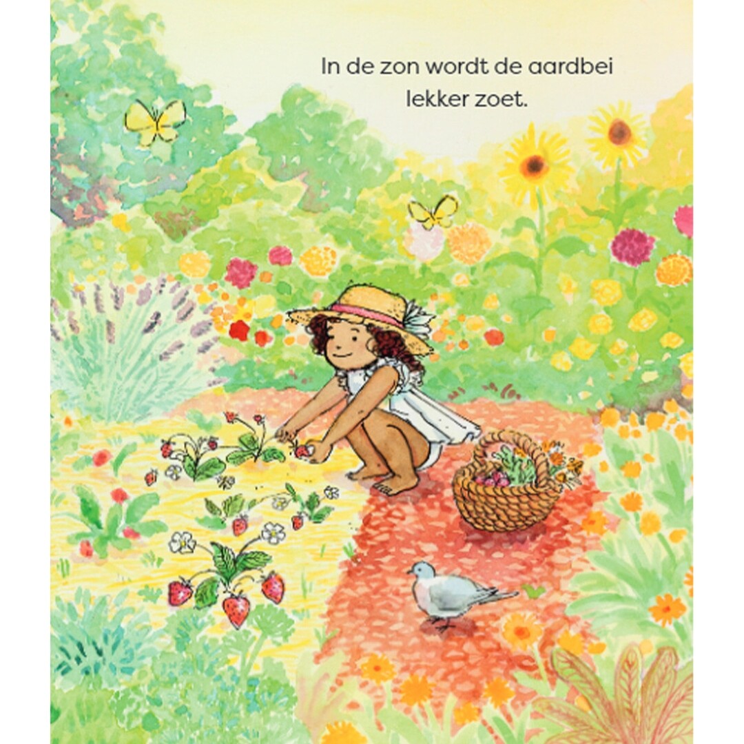 Uitgeverij christofoor kartonboek zomer