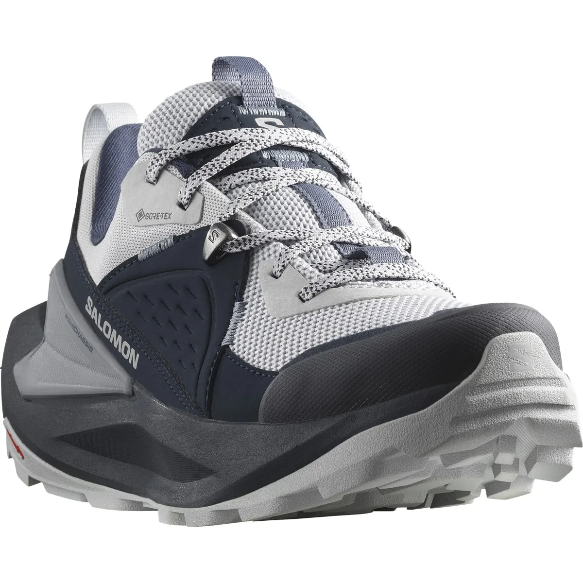 Salomon Women's Elixir GORE-TEX Carbon/Pearl Blue/Flint Stone