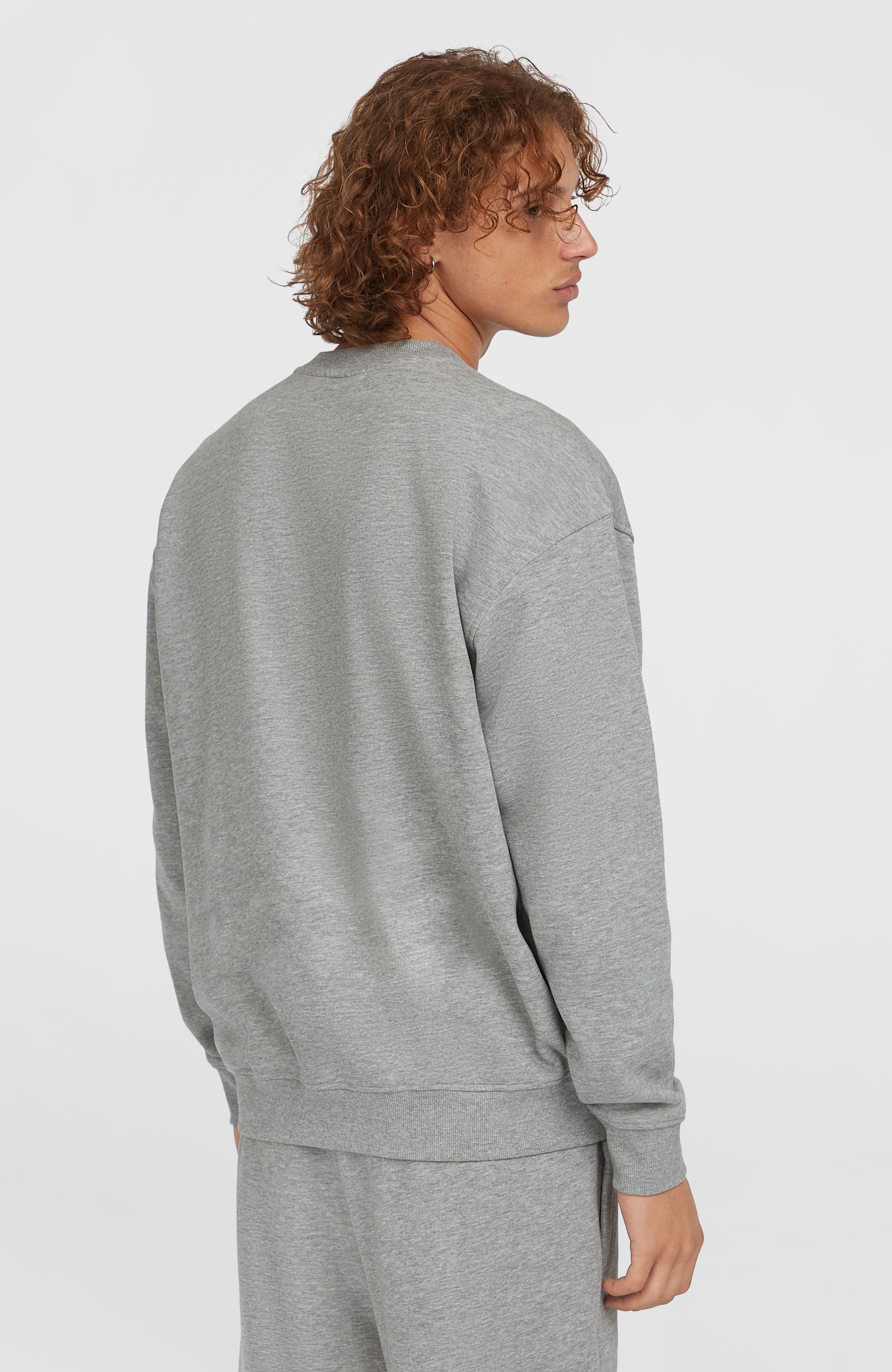 Future Surf Society Crew sweater